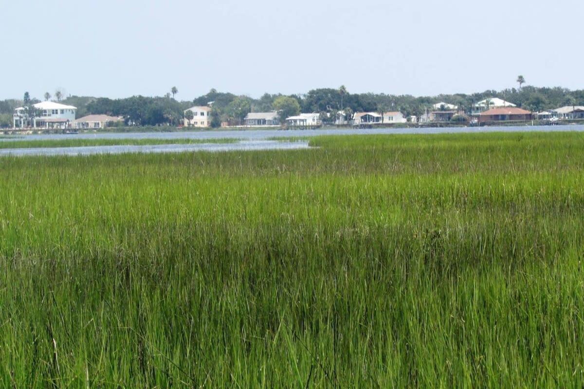 Canal Dock Walk To Kayaks Sup Fishing St. Augustine